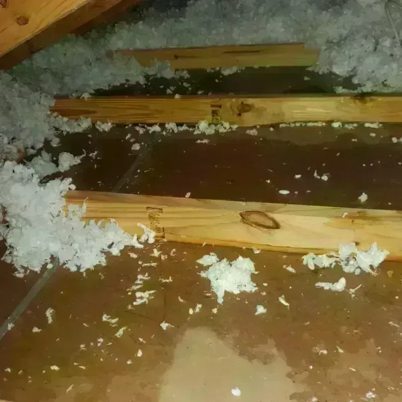 Attic Water Damage in Forest Park, GA