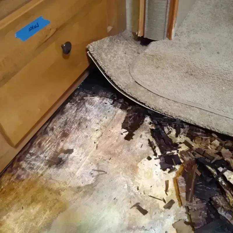 Wood Floor Water Damage in Forest Park, GA